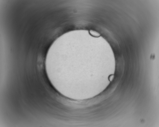 X0000103150038200809192040