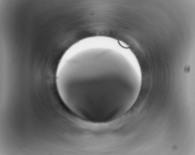 X0000103150039200809192040