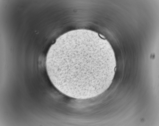 X0000103150041200809192040