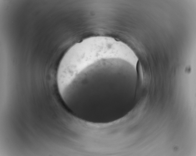 X0000103150043200809192040