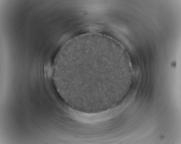 X0000103150046200809192040