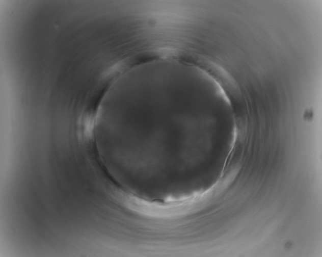 X0000103150047200809192040