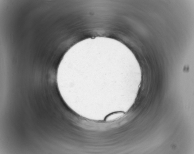 X0000103150048200809192040