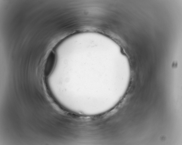 X0000103150049200809192039