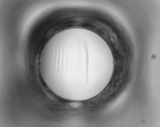 X0000103150050200809192039