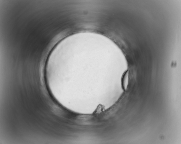 X0000103150051200809192039