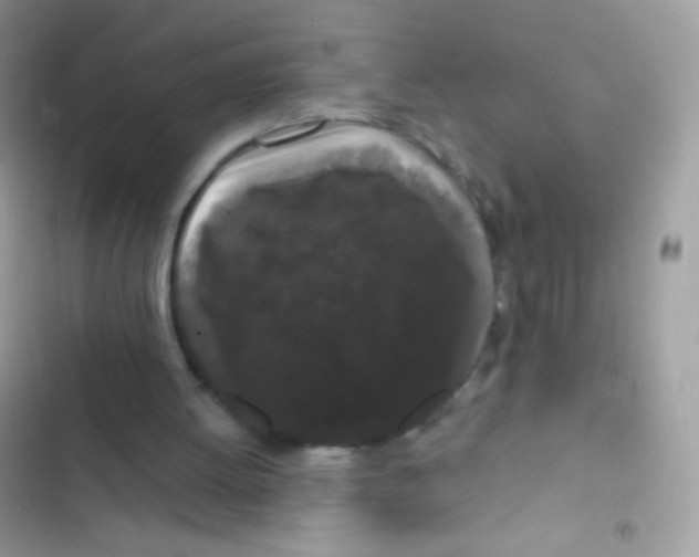 X0000103150052200809192039