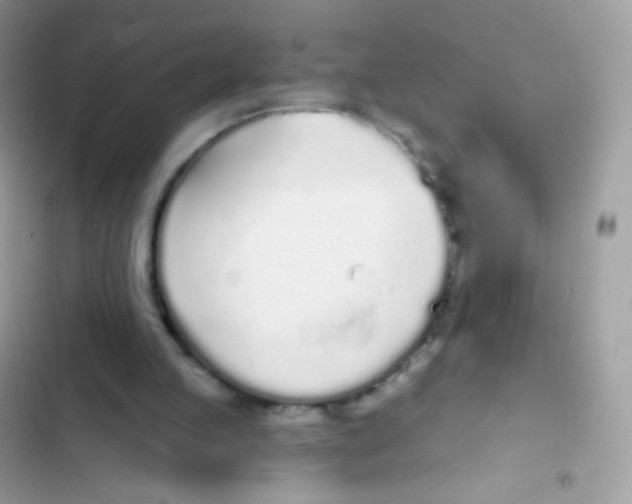 X0000103150053200809192039