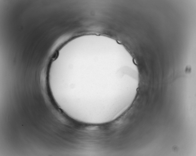 X0000103150054200809192039