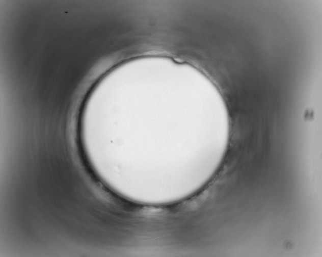 X0000103150055200809192039