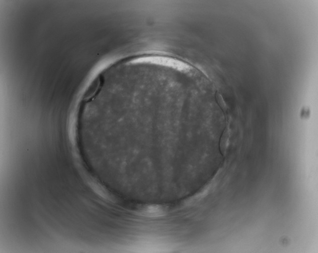 X0000103150056200809192039