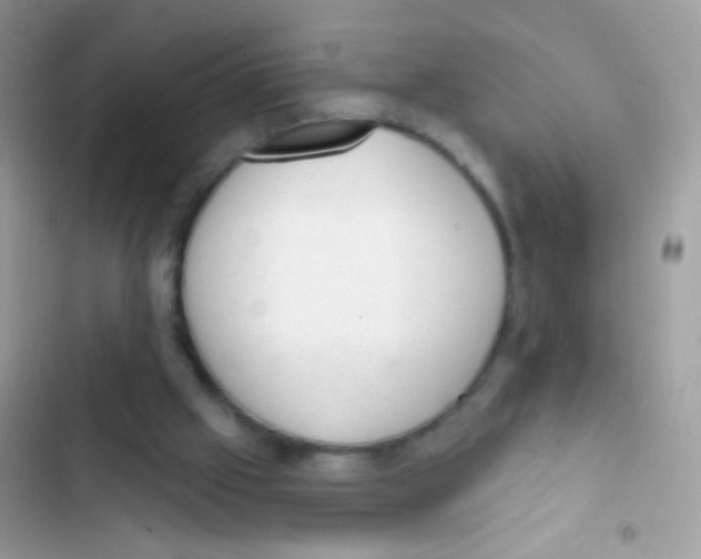 X0000103150057200809192039