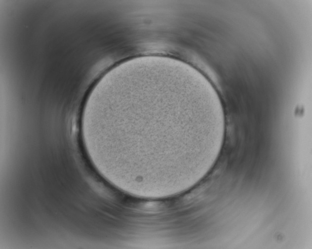 X0000103150059200809192039