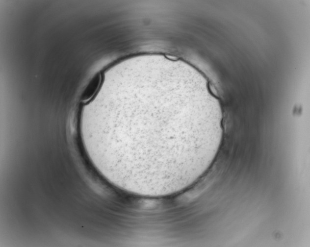 X0000103150060200809192039