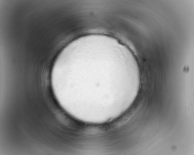 X0000103150061200809192039