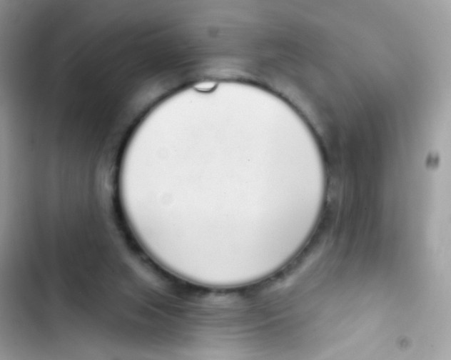 X0000103150063200809192039