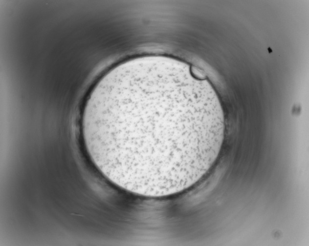 X0000103150064200809192039