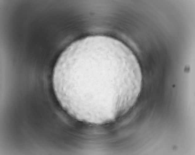 X0000103150065200809192039