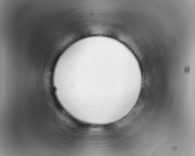 X0000103150066200809192039