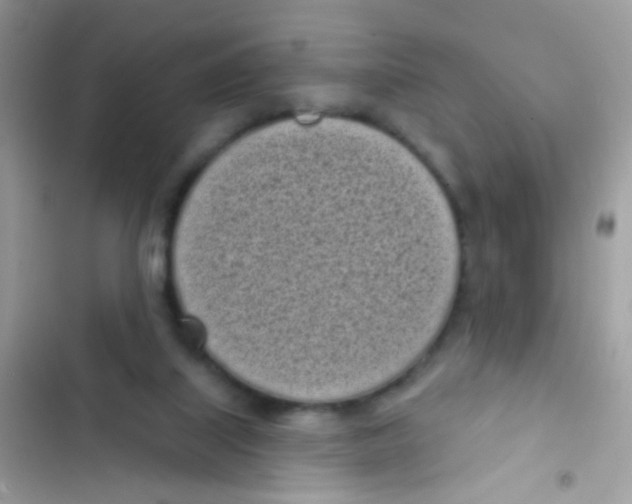 X0000103150067200809192039