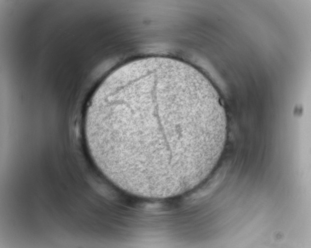 X0000103150068200809192039