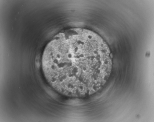 X0000103150069200809192039