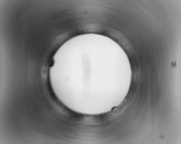 X0000103150070200809192039