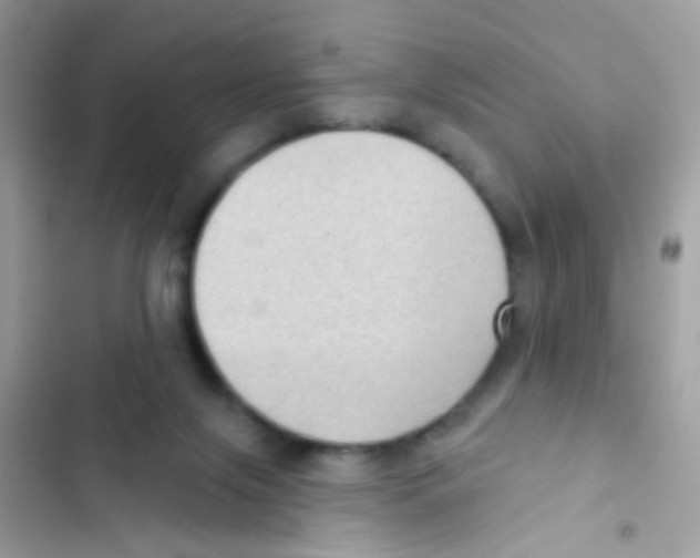 X0000103150071200809192039