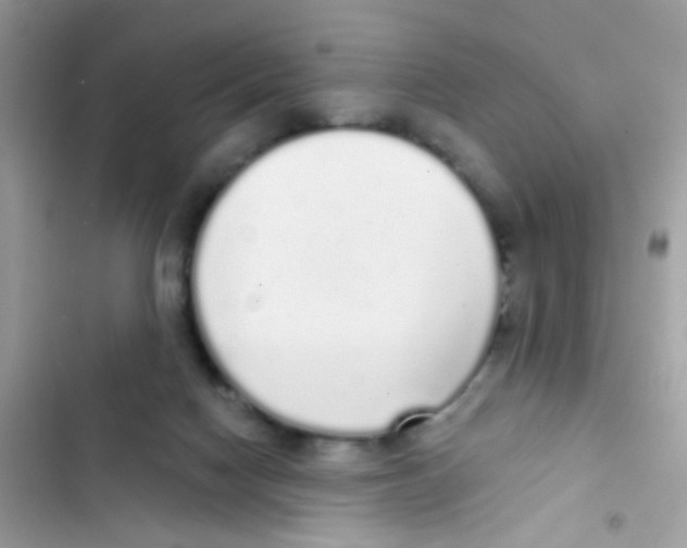 X0000103150074200809192039