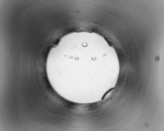 X0000103150078200809192040