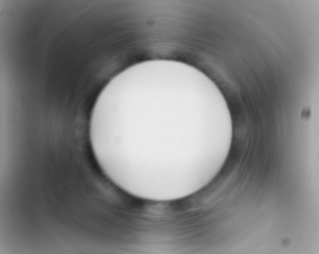 X0000103150079200809192040