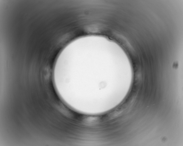 X0000103150081200809192040