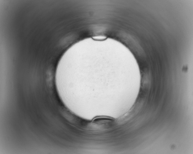 X0000103150082200809192040