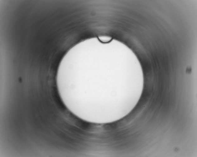 X0000103150083200809192040