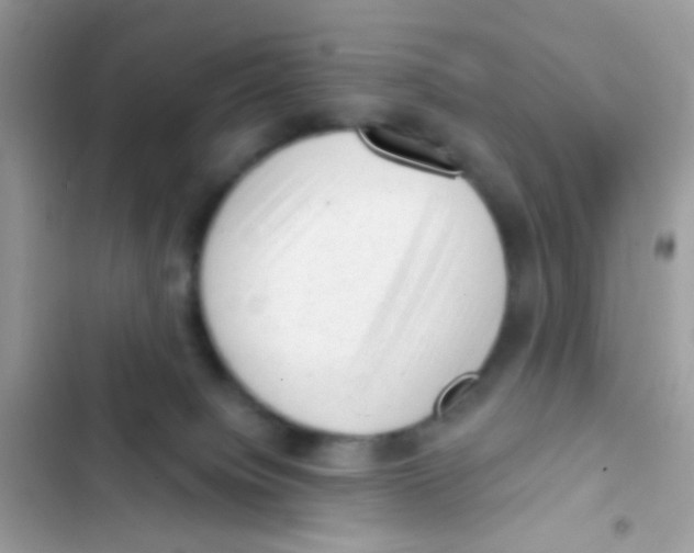 X0000103150084200809192040