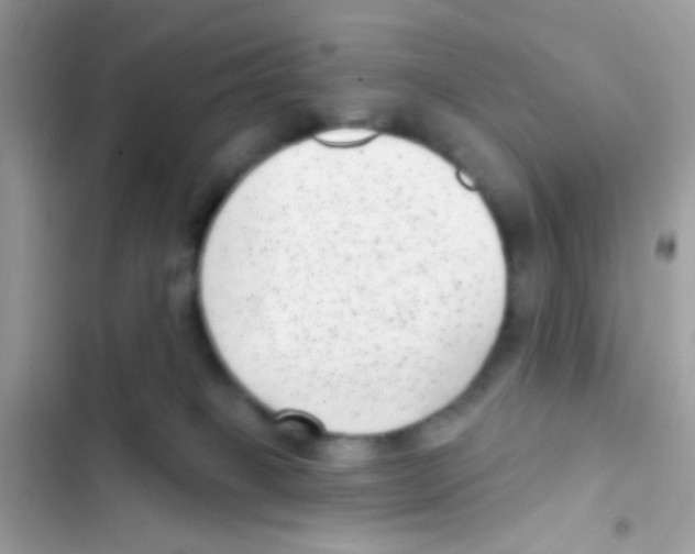 X0000103150085200809192040