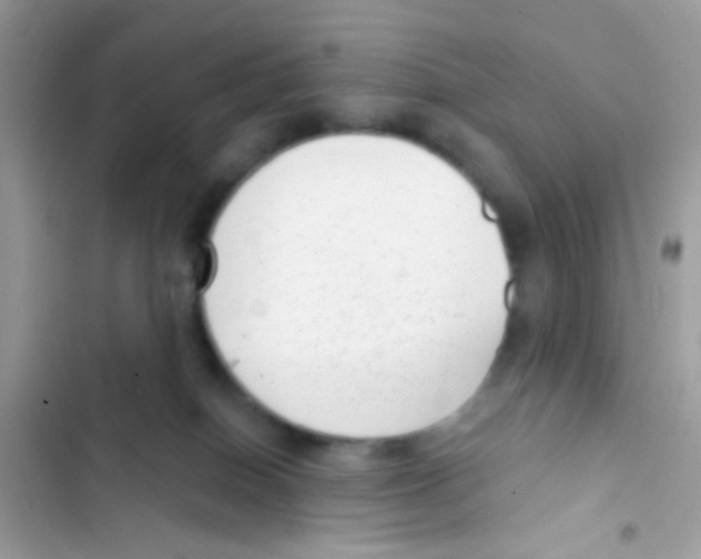 X0000103150086200809192040