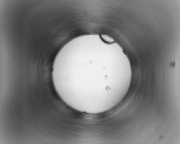 X0000103150088200809192040