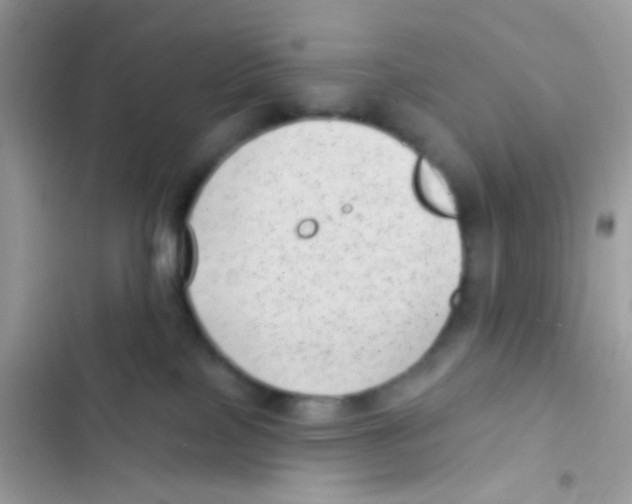 X0000103150089200809192040