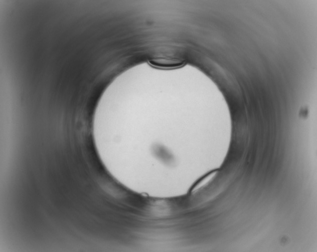 X0000103150091200809192040