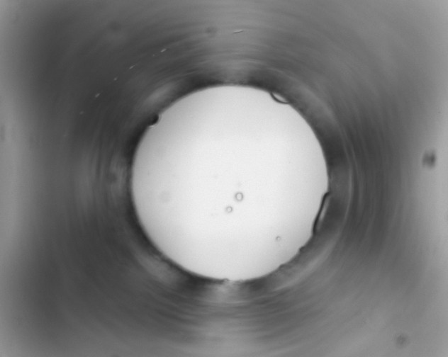 X0000103150092200809192040