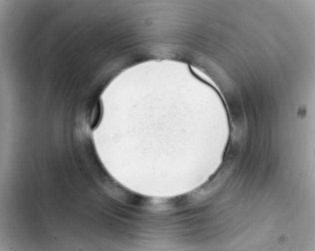 X0000103150095200809192040