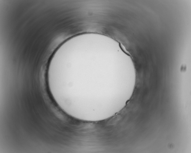 X0000103150098200809192039