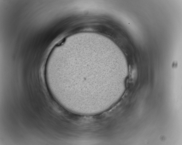 X0000103150099200809192039