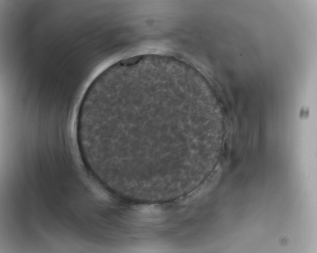 X0000103150100200809192039