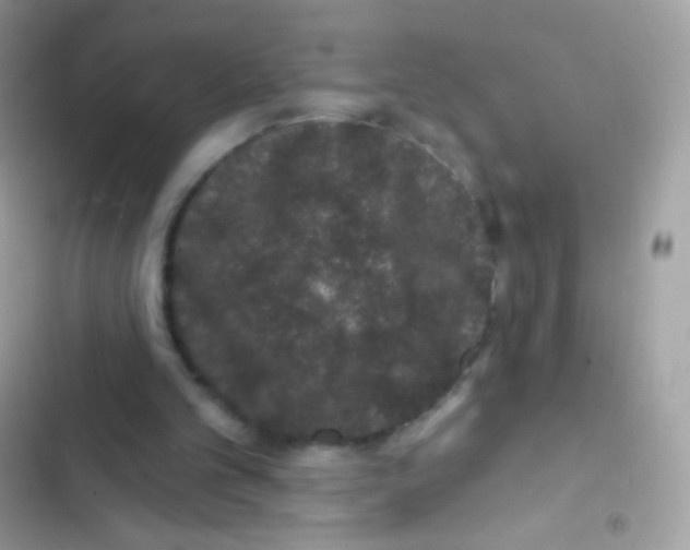 X0000103150101200809192039