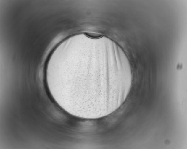 X0000103150102200809192039