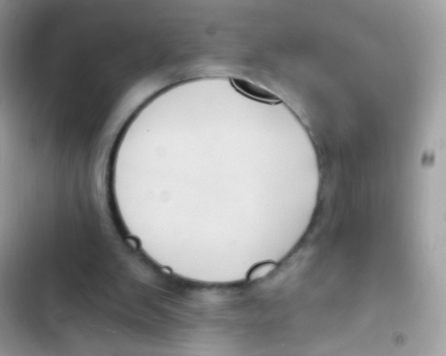 X0000103150103200809192039