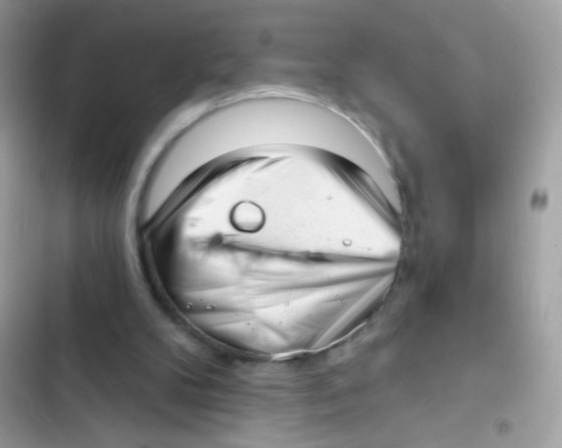 X0000103150104200809192039