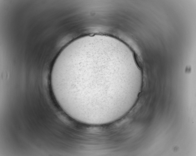 X0000103150105200809192039